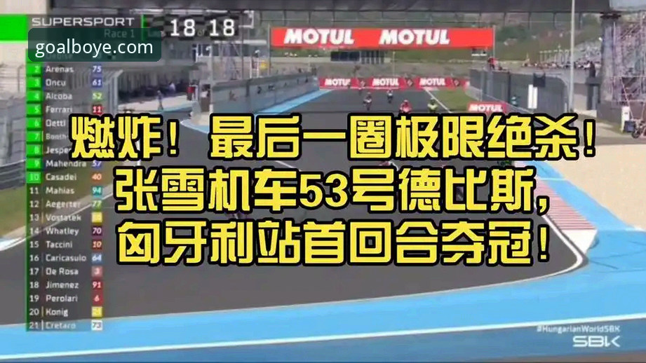 匈牙利站德比斯绝杀夺冠深度评测：博业体育官网见证中国车队历史时刻